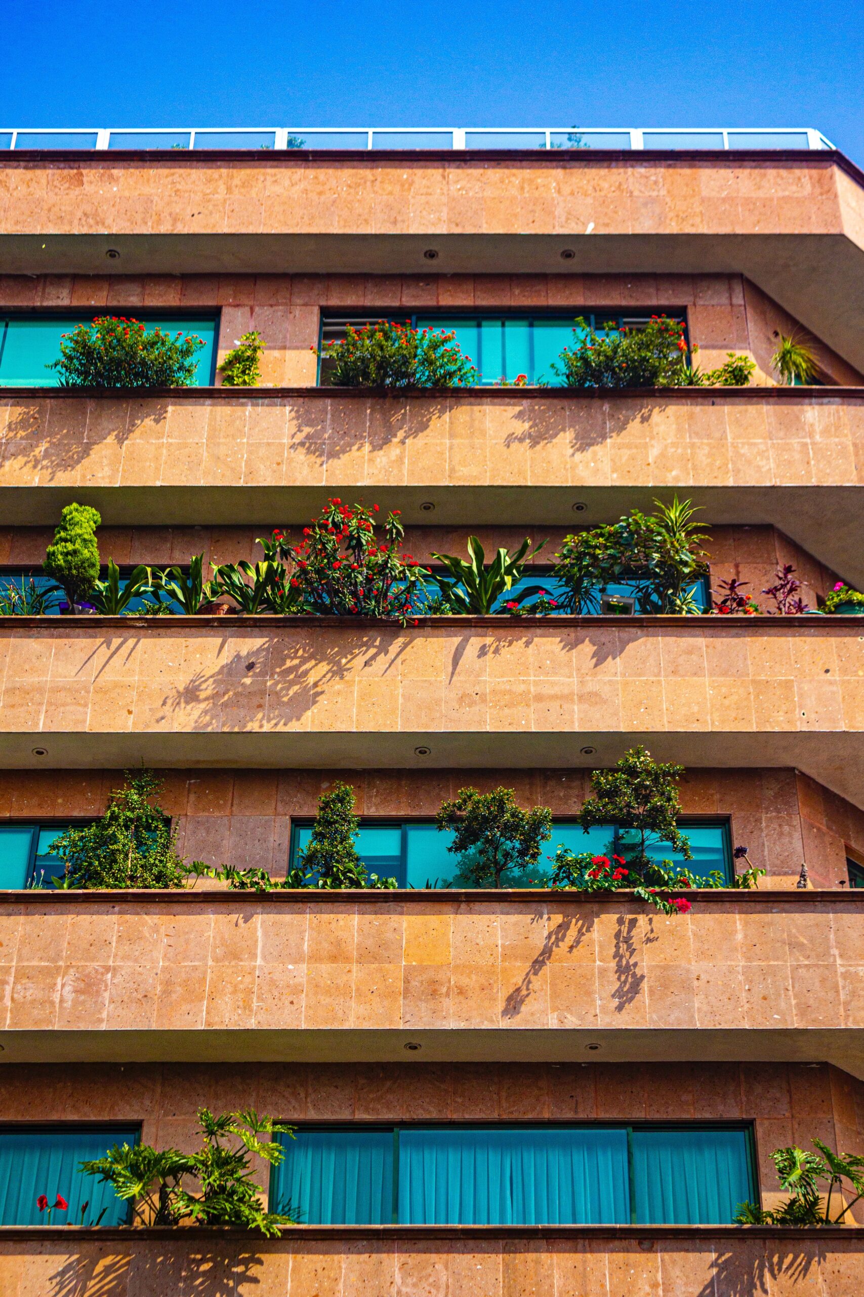 terrazas modernas con flores